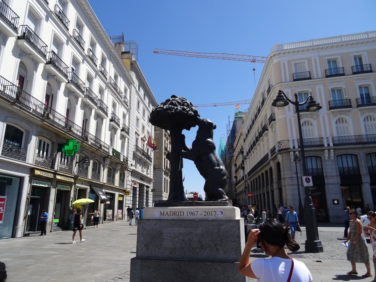 bear and strawberry tree madrid