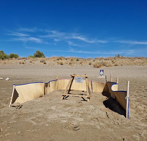 protected turtle nest