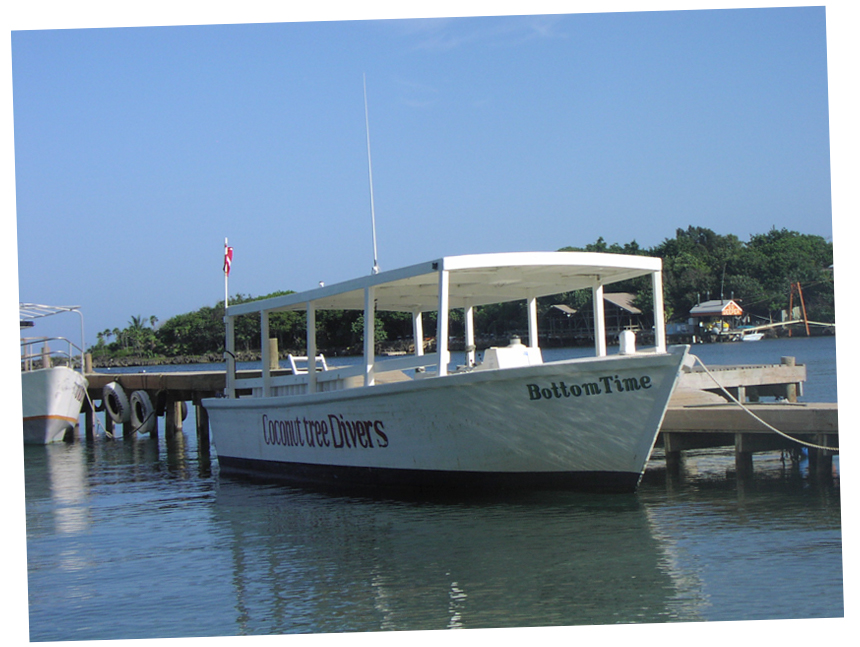 Coconut Tree Divers Old Dive Boat Bottom Time