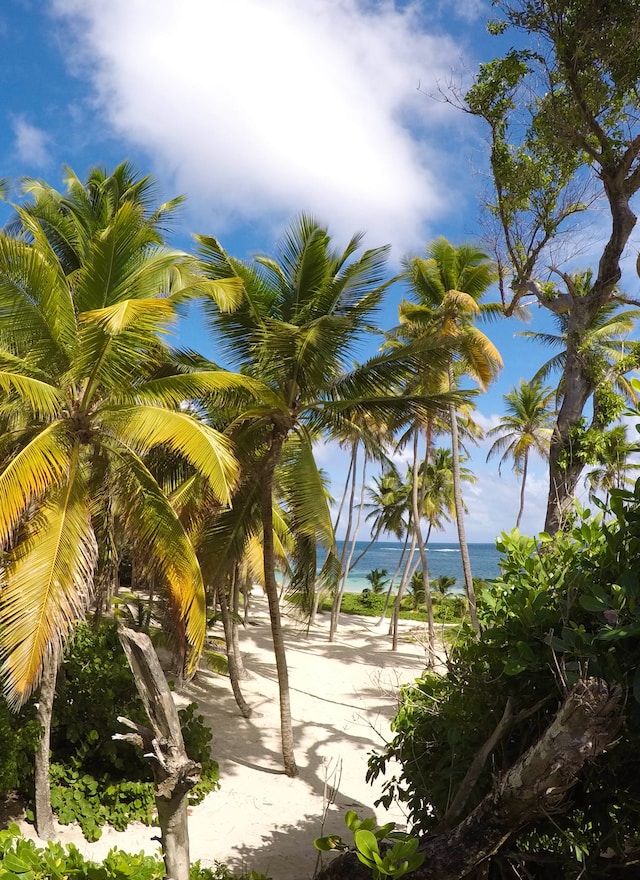 Anse Michel, Sainte-Anne, Martinique