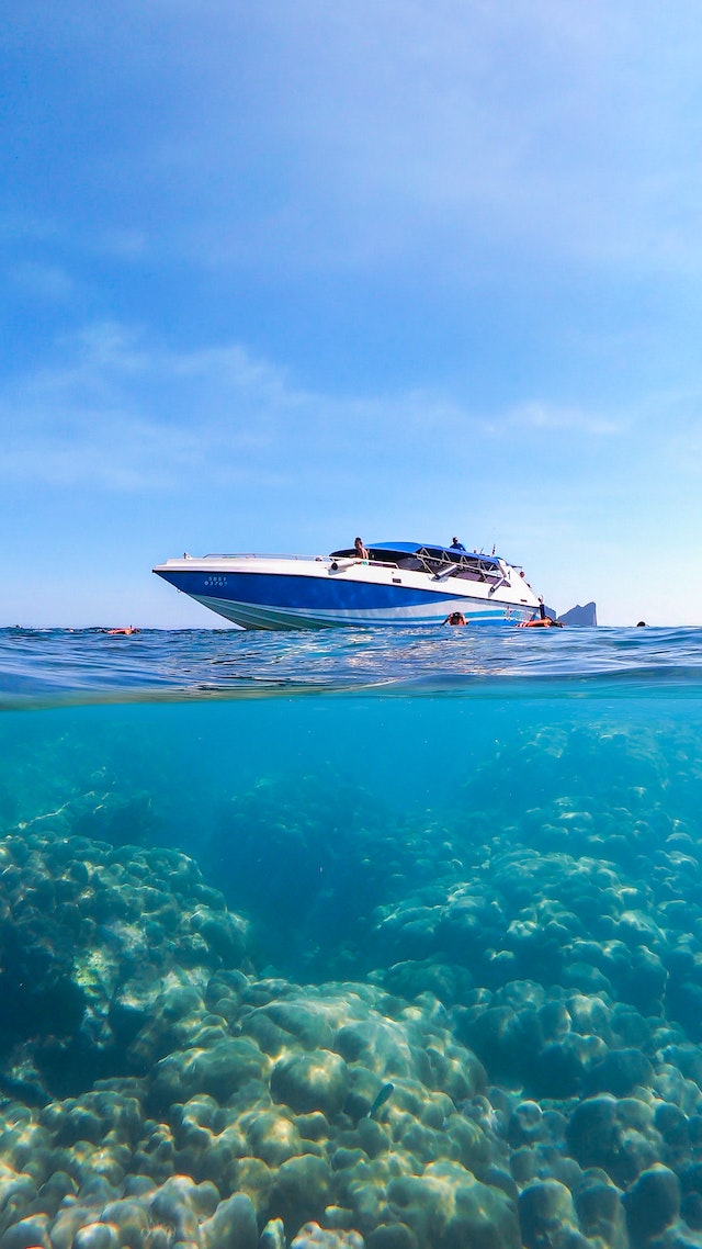 Thailand Reef